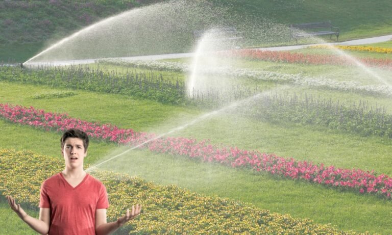 How Much Does Sprinkler Repair Cost?