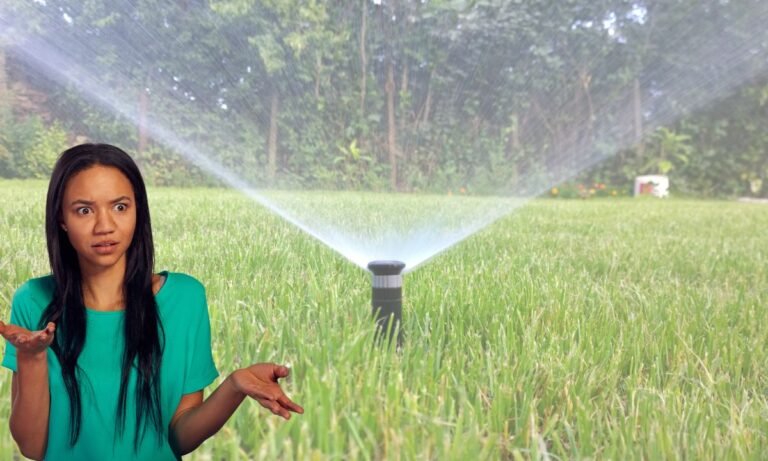 Should You Repair Or Replace Your Sprinkler System