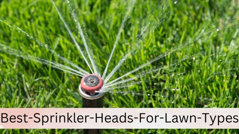 The Ultimate Guide to Finding the Best Sprinkler Heads for Every Lawn Type