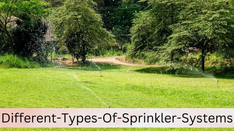 Discovering the Best Sprinkler System for Your Lawn: A Comprehensive Guide
