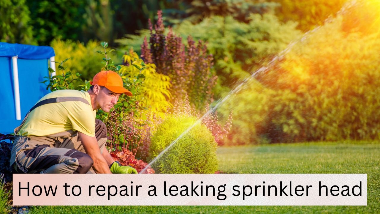 How To Repair A Leaking Sprinkler Head A Comprehensive Guide