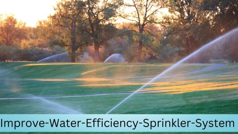 Top Ways to Improve Water Efficiency in Your Sprinkler System