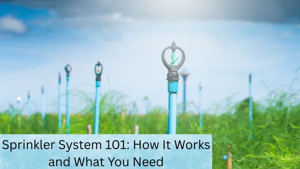 Sprinkler System 101: How It Works and What You Need 1 Sprinkler System 101: How It Works and What You Need