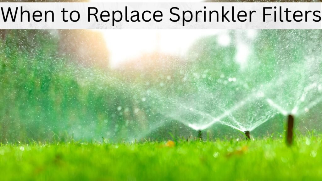 When to Replace Sprinkler Filters (and How) 1 When to Replace Sprinkler Filters (and How)