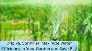 Drip vs Sprinkler: Which Uses Less Water?