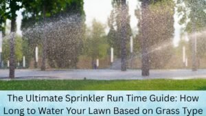 The Ultimate Sprinkler Run Time Guide: How Long to Water Your Lawn Based on Grass Type