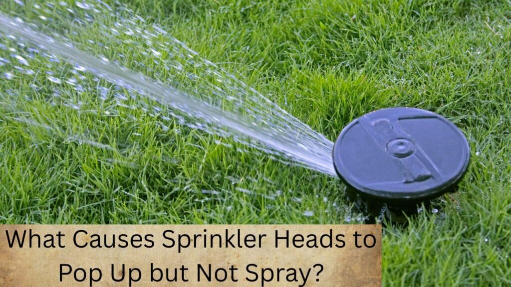 What Causes Sprinkler Heads to Pop Up but Not Spray? 1 What Causes Sprinkler Heads to Pop Up but Not Spray?
