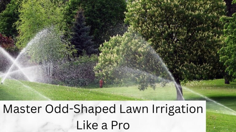 Master Odd-Shaped Lawn Irrigation Like a Pro