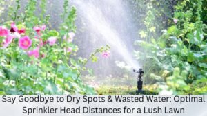 Say Goodbye to Dry Spots & Wasted Water: Optimal Sprinkler Head Distances for a Lush Lawn