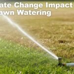 Climate Change Impact on Lawn Watering