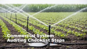 Commercial System Auditing Checklist Steps