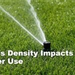 Grass Density Impacts Water Use: 9 Powerful Efficiency Facts