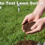How to Test Lawn Soil at Home: A Practical Guide for Accurate Results