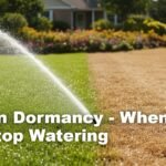 Lawn Dormancy: When to Stop Watering — 7 Smart Signs